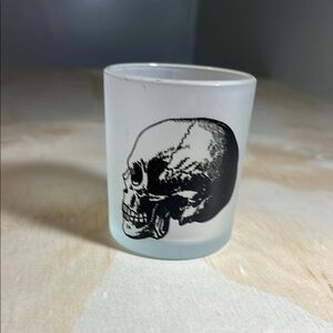 Frosted Glass Skull Art Decor